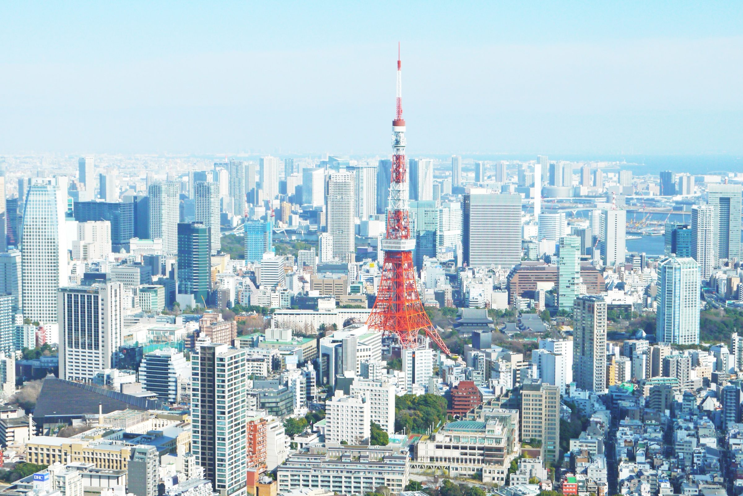 東京進出 ザ ピッグ ザ レディの情報 ハワイ情報 Koko