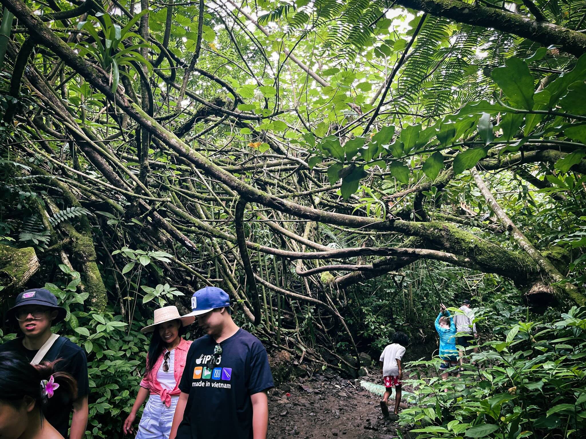 マノア・フォールズ・トレイルで、ハウツリーの下を身を屈めて歩くローカル風のハイカーたち