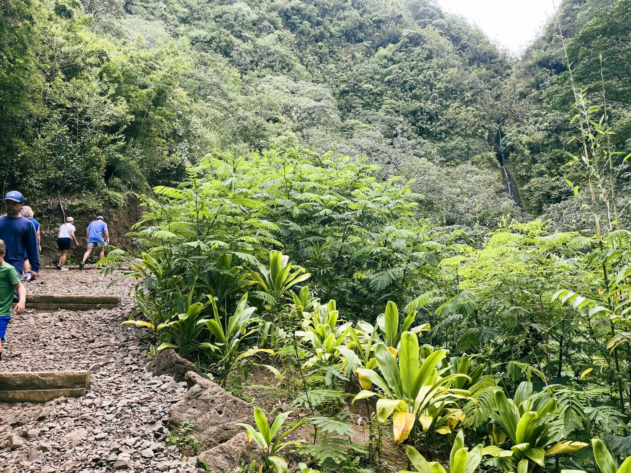 マノア・フォールズ・トレイルの滝に近い奥側で、傾斜があり濡れた路面をハイカーが上り下りしている様子