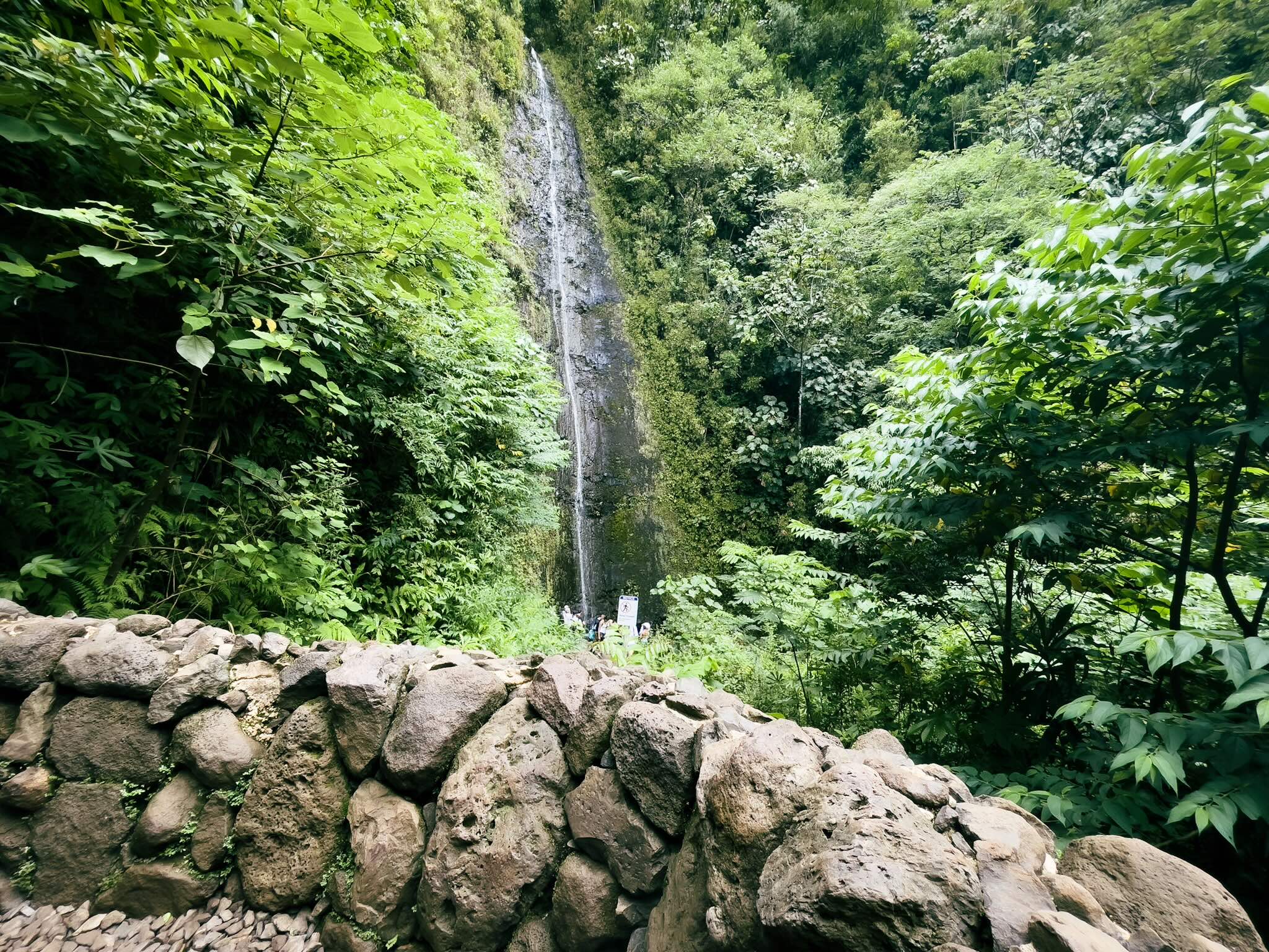 6月のマノア滝（マノア・フォールズ）。乾季にあたり、水量が控えめで静かに流れるワイヒ（Waihi）と呼ばれる状態の滝