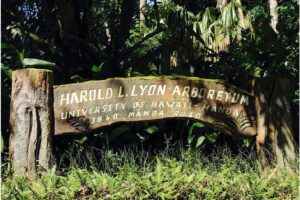 ライオン・アーボリータム（樹木園）：オアフ島マノア地区にある植物園