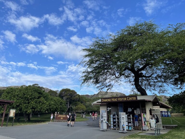 【2024年】ワイキキからダイヤモンドヘッドへの行き方6選 ハワイ情報 KOKO