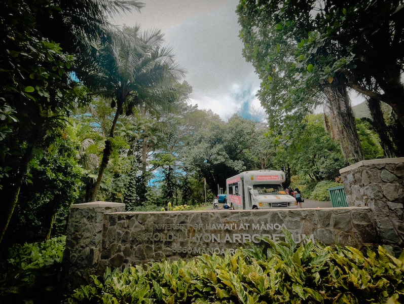 ハワイ大学のライオン樹木園（マノア)