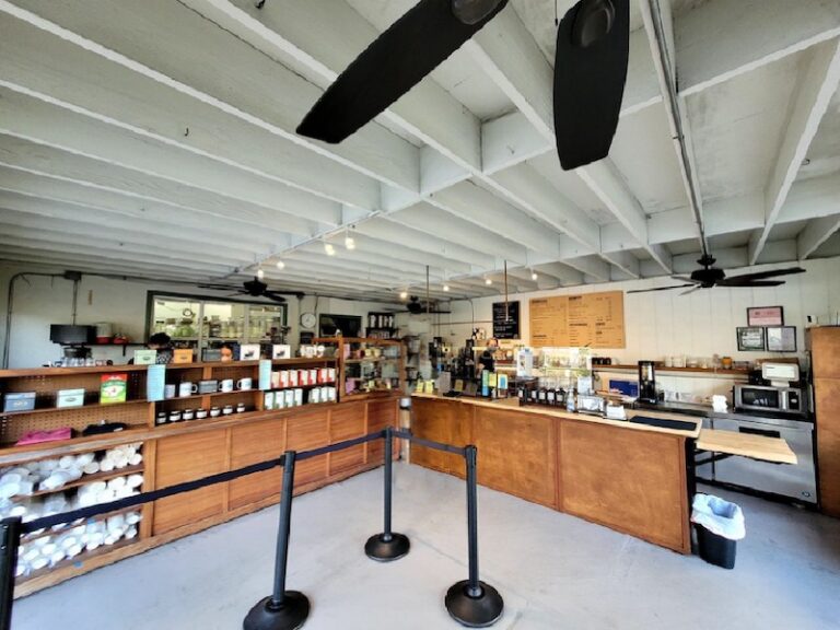 マノア特集（ハワイ・オアフ島ホノルル） ハワイ情報 KOKO