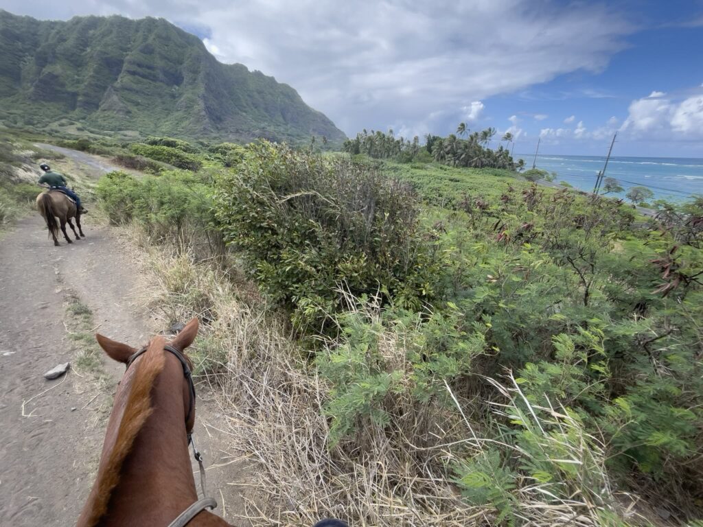 青い海とコオラウ山脈を望む、クアロア・ランチの乗馬ルート クアロア・ランチの乗馬ルートから見える青い海とコオラウ山脈の風景