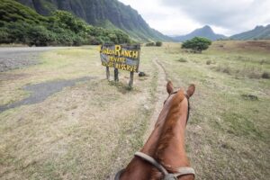 クアロア・ランチで過ごす午後——一人旅だからできた寄り道と乗馬