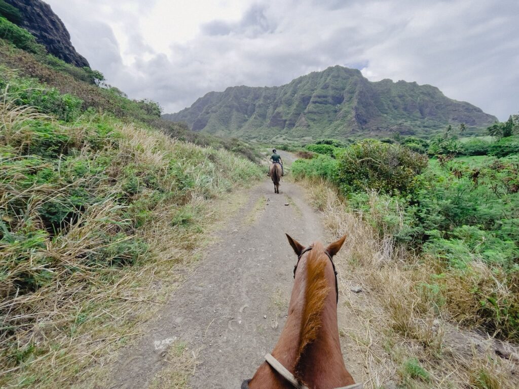 クアロア・ランチの谷を進む乗馬ルート クアロア・ランチの谷間を進む乗馬ルートと、前方を行くインストラクター