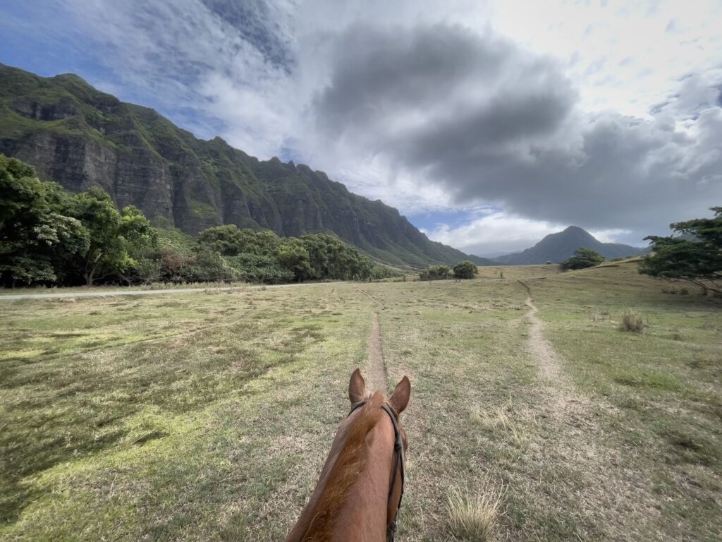 広大なクアロア・ランチの中で、一本の道を迷わず進んでいく乗のアレックスと、その先に続く谷の風景