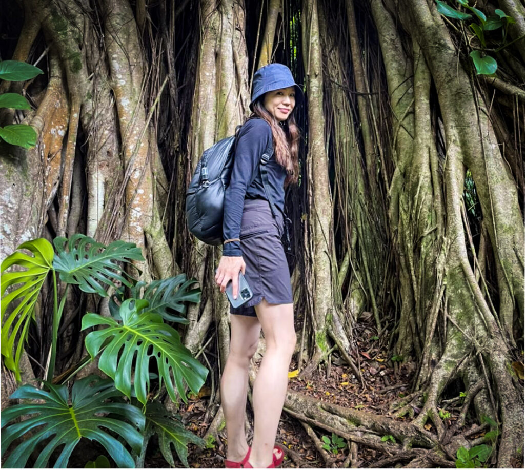 マノア・フォールズ・トレイル後 ハイキング中に立ち止まったハウツリーの根元