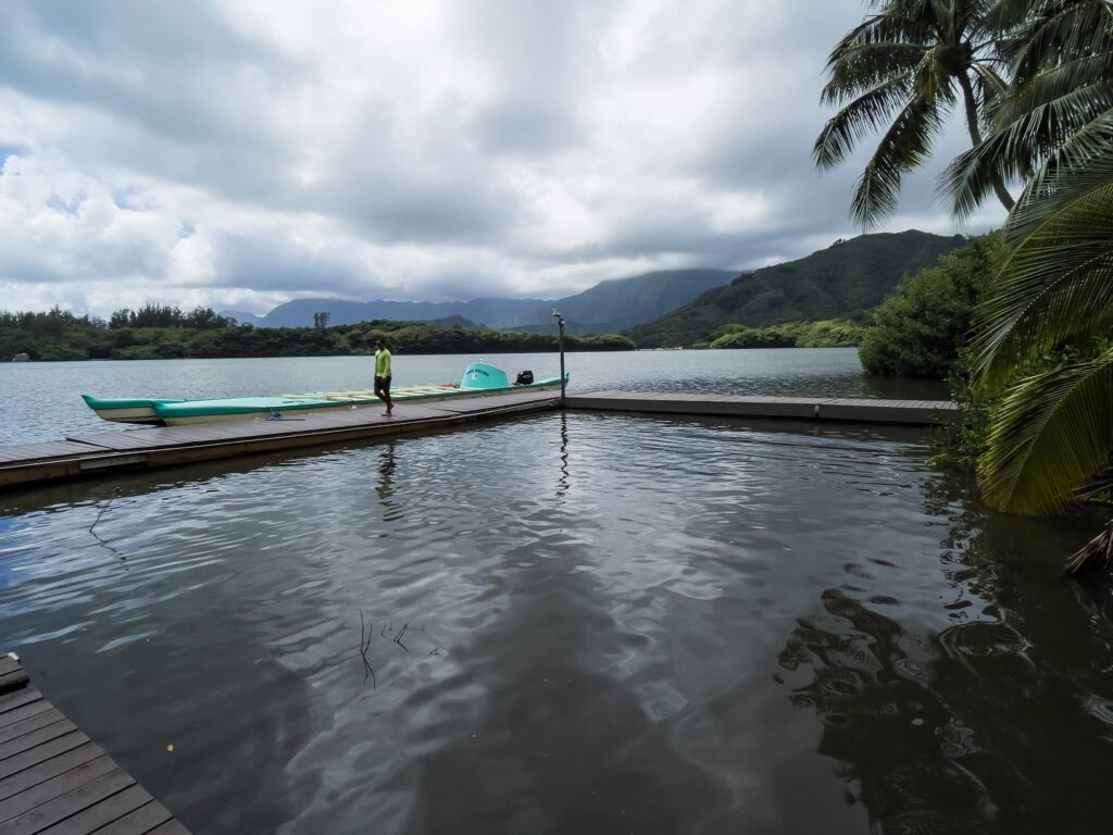 モリイ・フィッシュ・ポンドに設けられた桟橋の様子