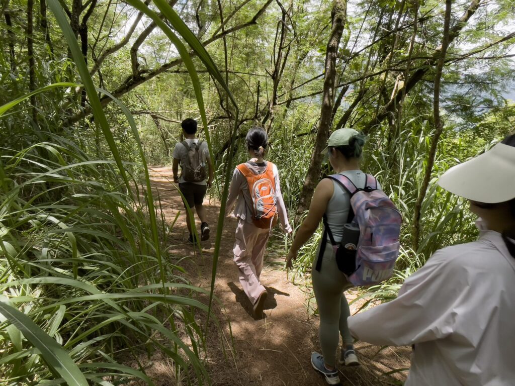 プウ・マエリエリ・トレイルを下りながら歩くハイカーたちの後ろ姿