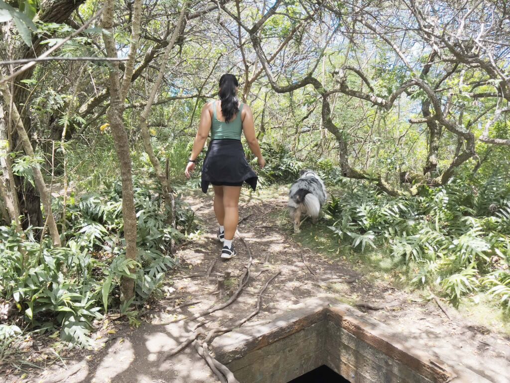 プウ・マエリエリ・トレイルで、犬の散歩をしながら歩くローカルの女性。