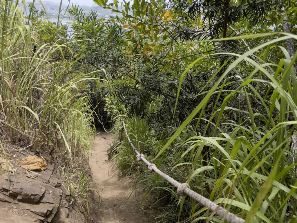 プウ・マエリエリ・トレイル終盤の急勾配区間。足場の悪い坂にロープが設置されている。